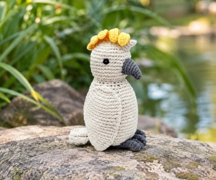 cockatoo on rock website